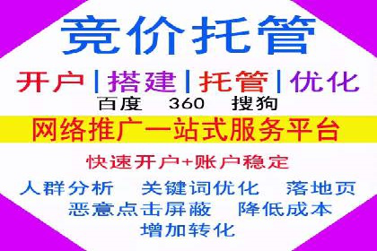 某行业领军企业的SEM广告投放策略